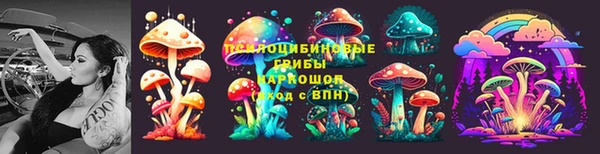 прущий лед Мегион