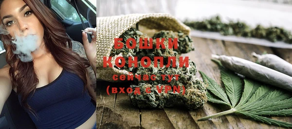 PSILOCYBIN Сатка