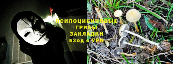 PSILOCYBIN Сатка