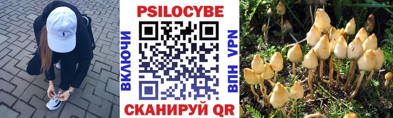 OMG ССЫЛКА Лобня Галлюциногенные грибы MAGIC MUSHROOMS