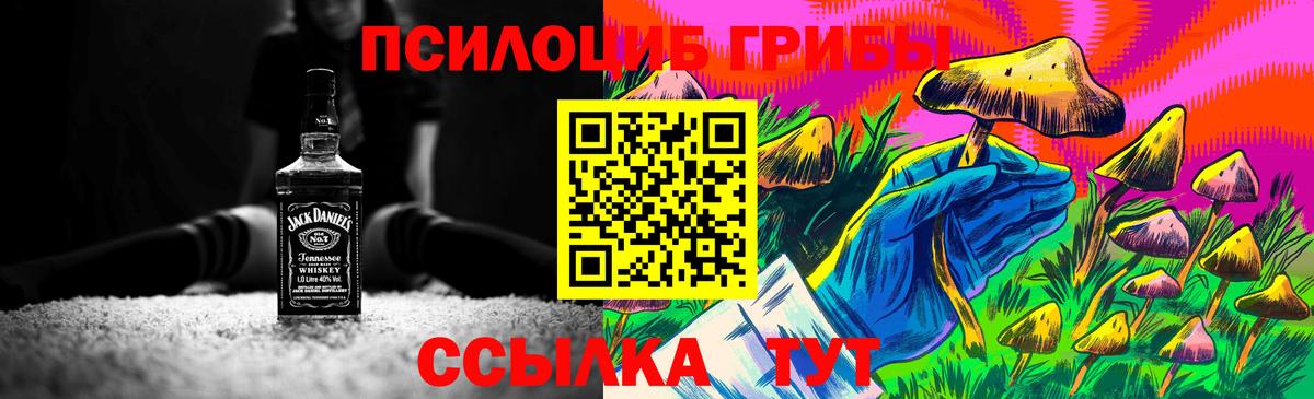 Псилоцибиновые грибы Cubensis Лобня